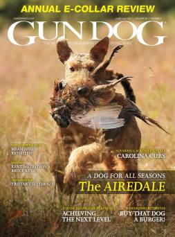 GunDogMagazine